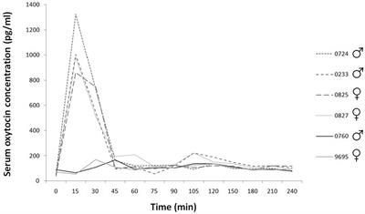 Increased Serum and Urinary Oxytocin Concentrations after Nasal Administration in Beagle Dogs